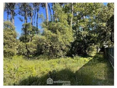 vente terrain à jard-sur-mer (85520) : à vendre / 1182m² jard-sur-mer