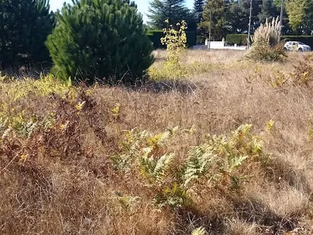 vente terrain 895 m² à berson (33390)  28 500 €