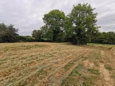 vente terrain bord de mer à perros-guirec (22700) : à vendre bord de mer / 526m² perros-gu