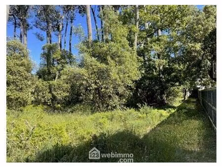 vente terrain 1182 m² jard-sur-mer (85520)
