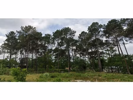 vente terrain 515 m² à saucats (33650)  152 000 €