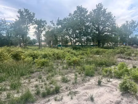 vente terrain 640 m² à le porge (33680)  180 000 €