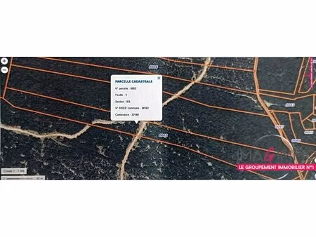 terrain boisé – forêt