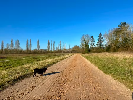vente haras / equestre beuvron en auge  300m² 10 pièces 1 085 000€ calvados