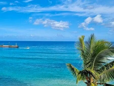 appartement meublé 4 pièces 98 m² - roche noire - pieds dans l'eau