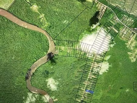 terrain de 20025 mètres carrés sur le cd 8 à couhachy  mana 97360