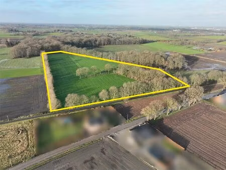 perceel landbouwgrond van ca 5 hectare te noorderwijk