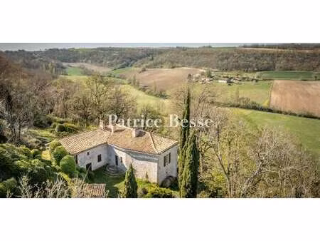 maison avec jardin cazes-mondenard (82)