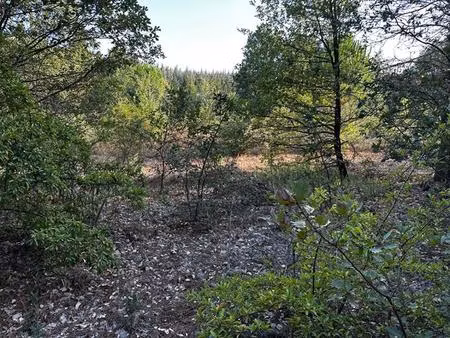 terrain constructible lauraguel 1555 m2