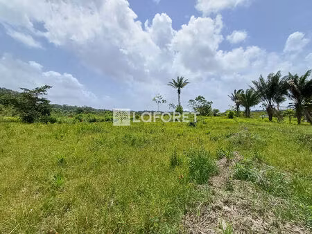 terrain agricole montsinéry-tonnegrande 18 649 m2