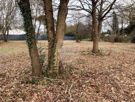 vente terrain 736 m² à la tremblade (17390)  170 900 €