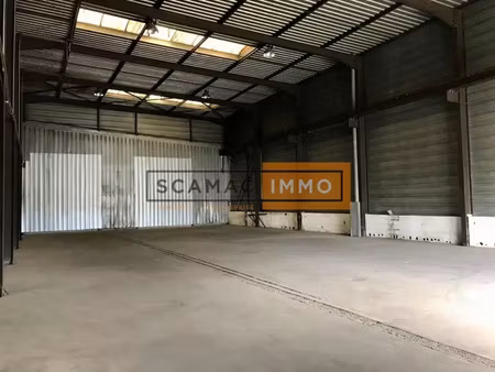 local d'activités de 780m²