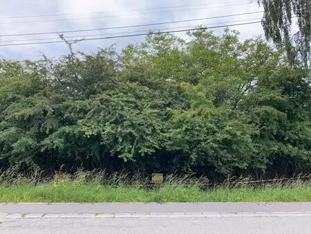 terrain en zone d'habitat