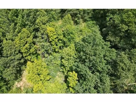 terrain entraygues-sur-truyère m² t- à vendre  12 500 €