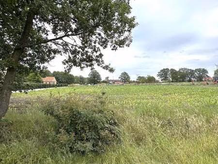 terrain à vendre à olmen € 195.000 (kqwpc) - immo-c2 bv | zimmo