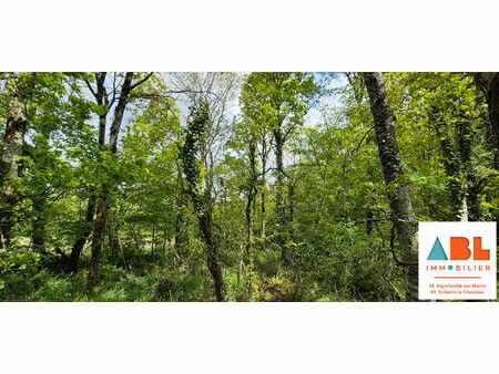 terrain boisé- maisdon sur sèvre 1028 m2