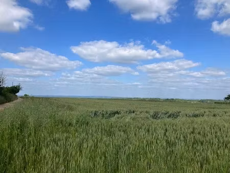 vente terrain 5760 m² à savigny-en-sancerre (18240)  22 000 €