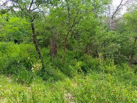 terrain non constructible 12 120 m2 à roquefort les pins