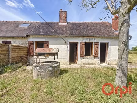 vente maison 3 pièces 72 m² à valigny (03360)  52 800 €