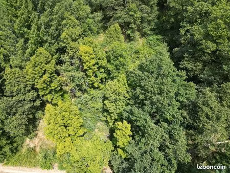 terrain 3 299 m² entraygues sur truyere