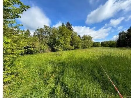 terrain 3900 m2 torcy le grand