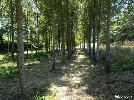 terrain 4096 m² poilley