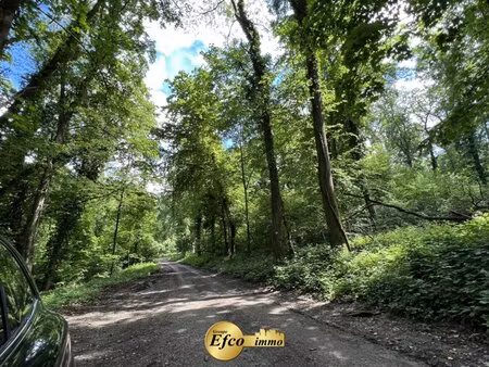 en vente maison 320 m² – 924 000 € |bruebach