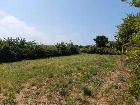 vente terrain 725 m² à néville-sur-mer (50330)  55 095 €