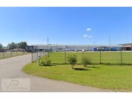 entrepôts avec espace extérieur à louer à tessenderlo
