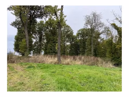 en vente terrain constructible 0 ares – 125 000 € |châtelet
