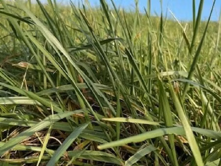 en vente terrain constructible 18 95 ares – 40 000 € |parroy