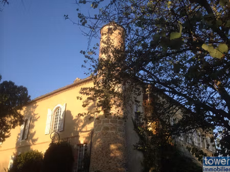 gers - chateau xiii / xviii. 750m2. 55mn toulouse et aeroport.