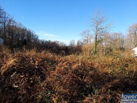 terrain à bâtir de 2640 m2 près de sers à 14 mn de soyaux