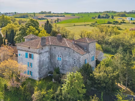 château à restaurer à alos