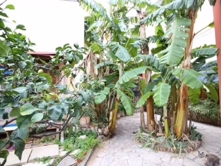 maison d'exception à beaulieu-sur-mer