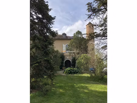 château à rénover à mauvezin