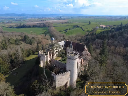 château à restaurer à veauce