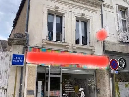 vente immeuble 6 pièces 129 m² à selles-sur-cher (41130)  173 000 €