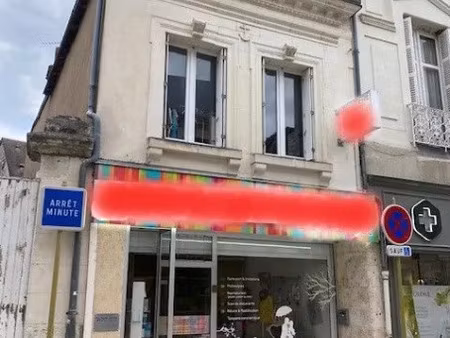 vente immeuble 6 pièces 209 m² à selles-sur-cher (41130)  173 000 €