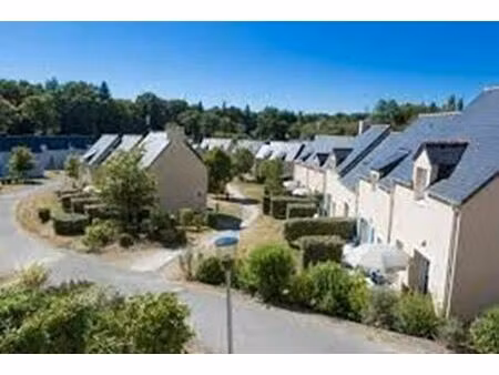 vente maison 2 pièces 30 m² le tronchet (35540)