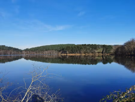 lacs à vendre à saint-martin-sur-oust (56200) - morbihan