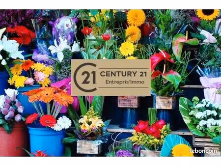 boutique 81 m² lege cap ferret