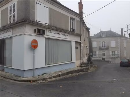 vente immeuble châtillon-sur-indre (36700)