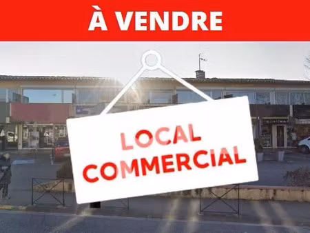 vente locaux professionnels à saint-orens-de-gameville (31650)  nan €