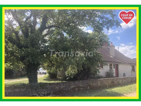 vente maison 6 pièces 123 m² avord (18520)