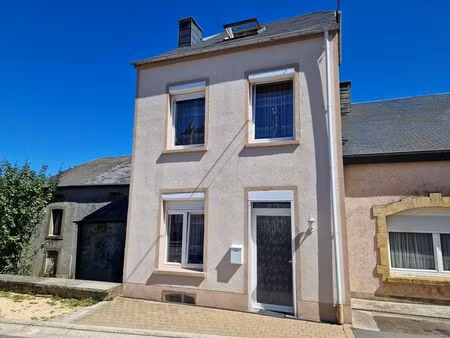 maison à vendre à rue de l'institut 14 izel (vwd06718)