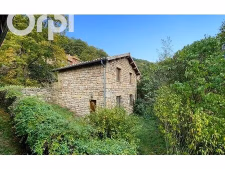 maison saint-pierre-de-colombier m² t-7 à vendre  197 000 €