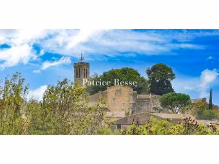 maison avec jardin saint-pons-de-mauchiens (34)