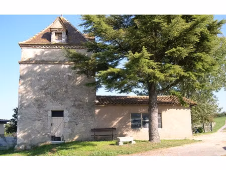 maison saint-vincent-lespinasse m² t-11 à vendre  523 000 €