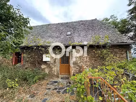 vente maison sénergues 12320 - - surface privée